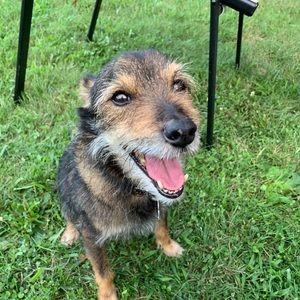 Meet your Posher, Colby